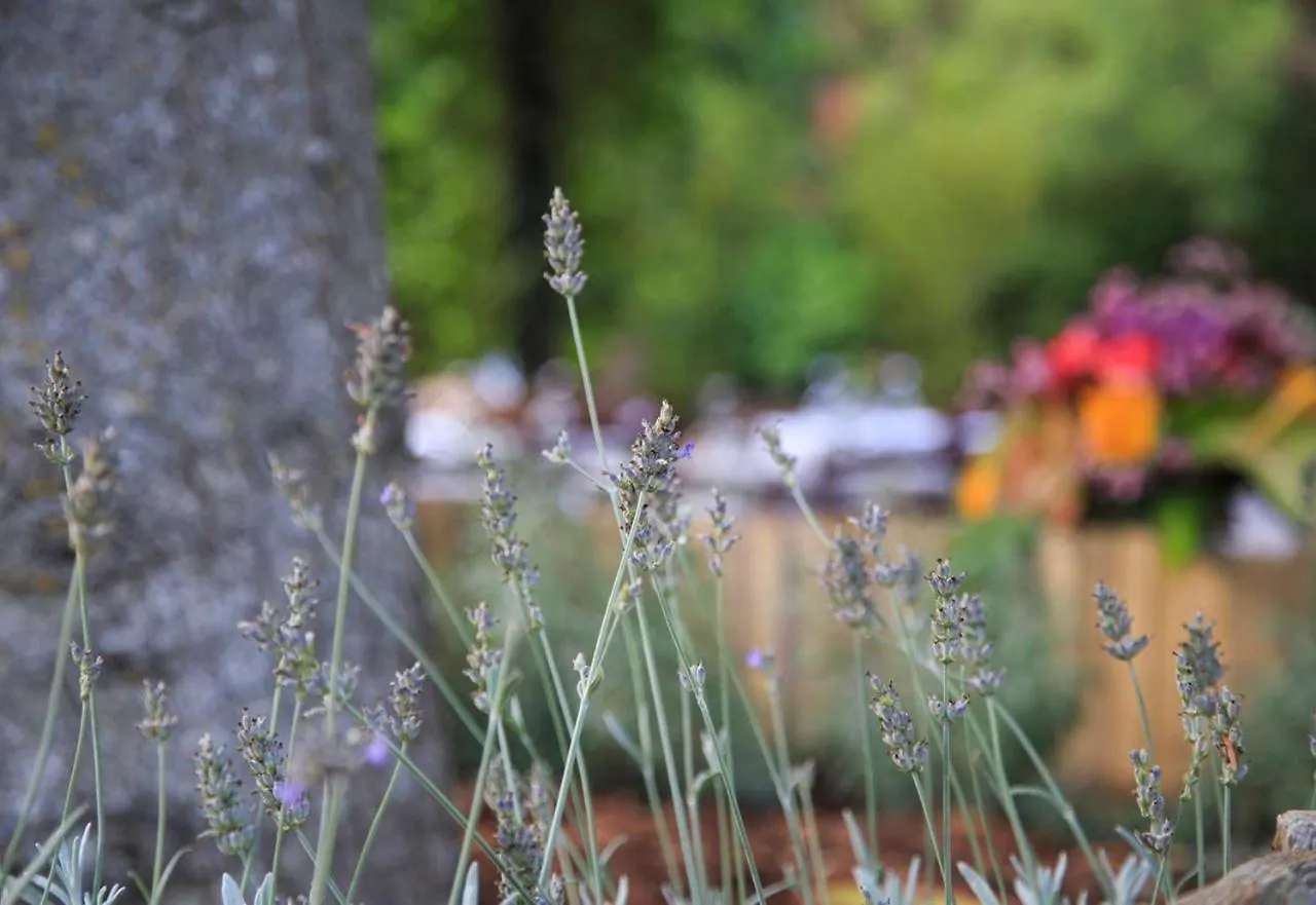 Podere La Miniera Relax & Food Siena Olaszország
